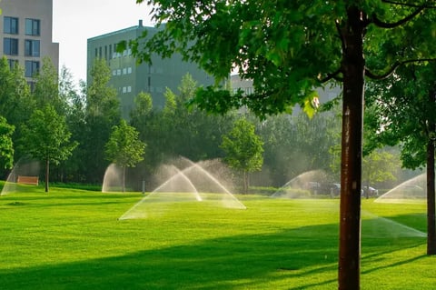 Irrigation, Lighting & Landscaping